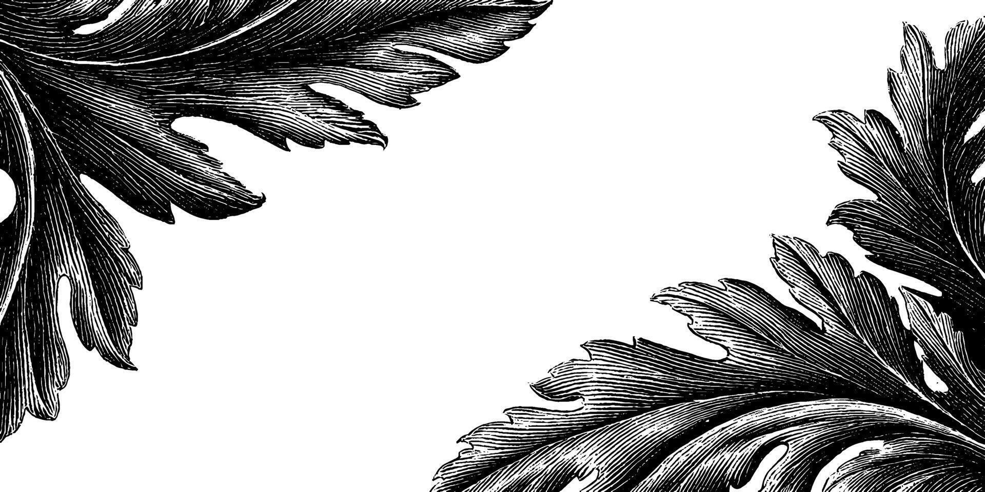 Intricate vintage floral pattern engraving for decorative design projects. vector