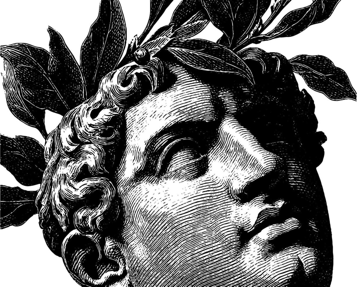 Intricate engraving of roman bust with laurel wreath. vector