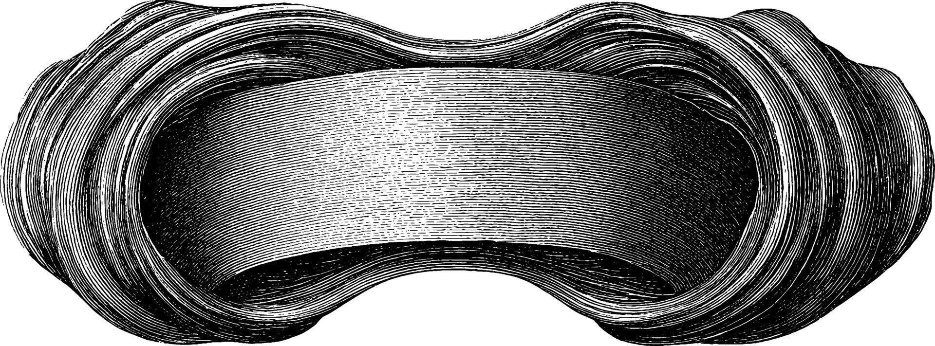 Intricate abstract swirl pattern engraving for decor and design projects. vector