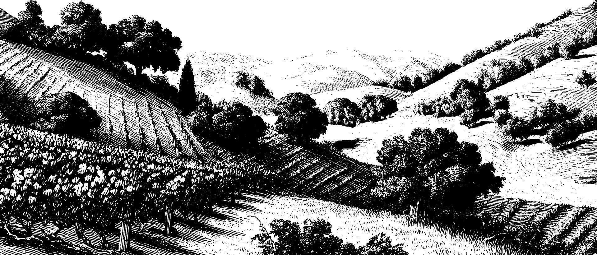 Scenic black and white countryside landscape with trees and rolling hills. vector
