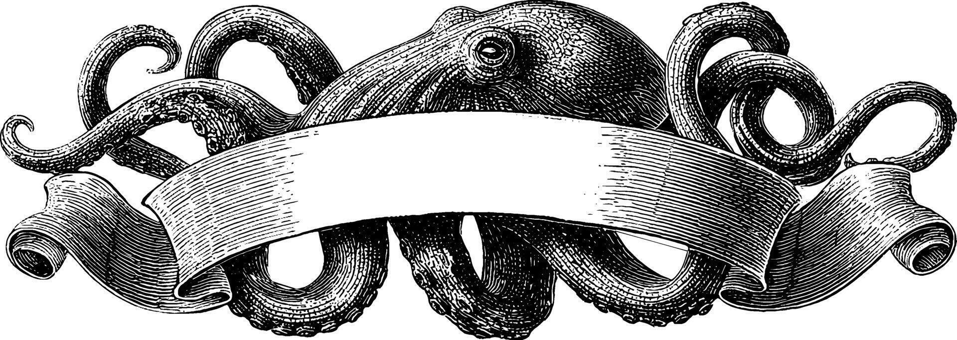 Intricate engraved octopus with ribbon banner design for nautical theme. vector