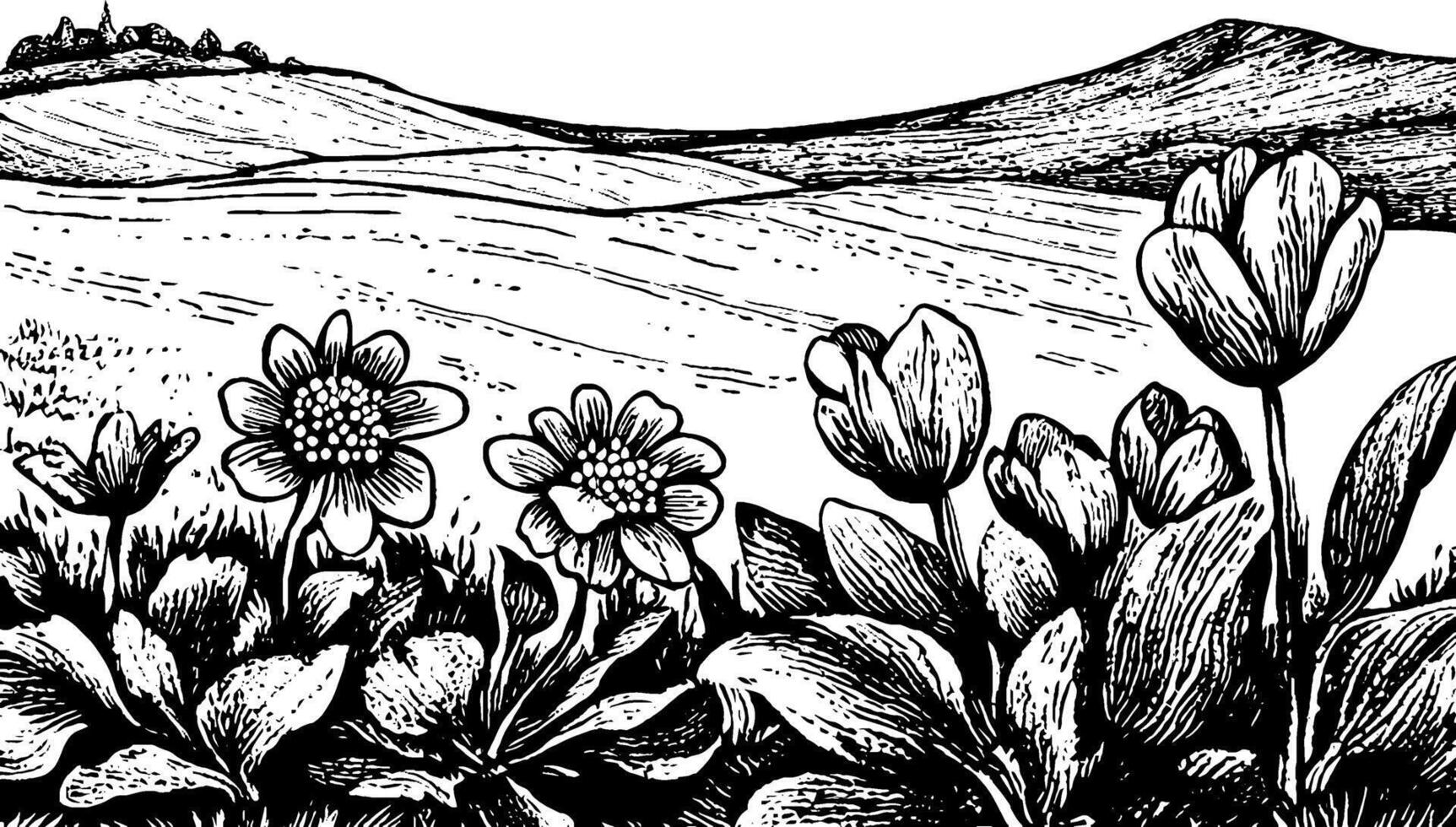 A detailed black and white illustration of flowers in the foreground with rolling hills and fields in the background. The scene captures a serene landscape with various types of flowers and a distant horizon. vector