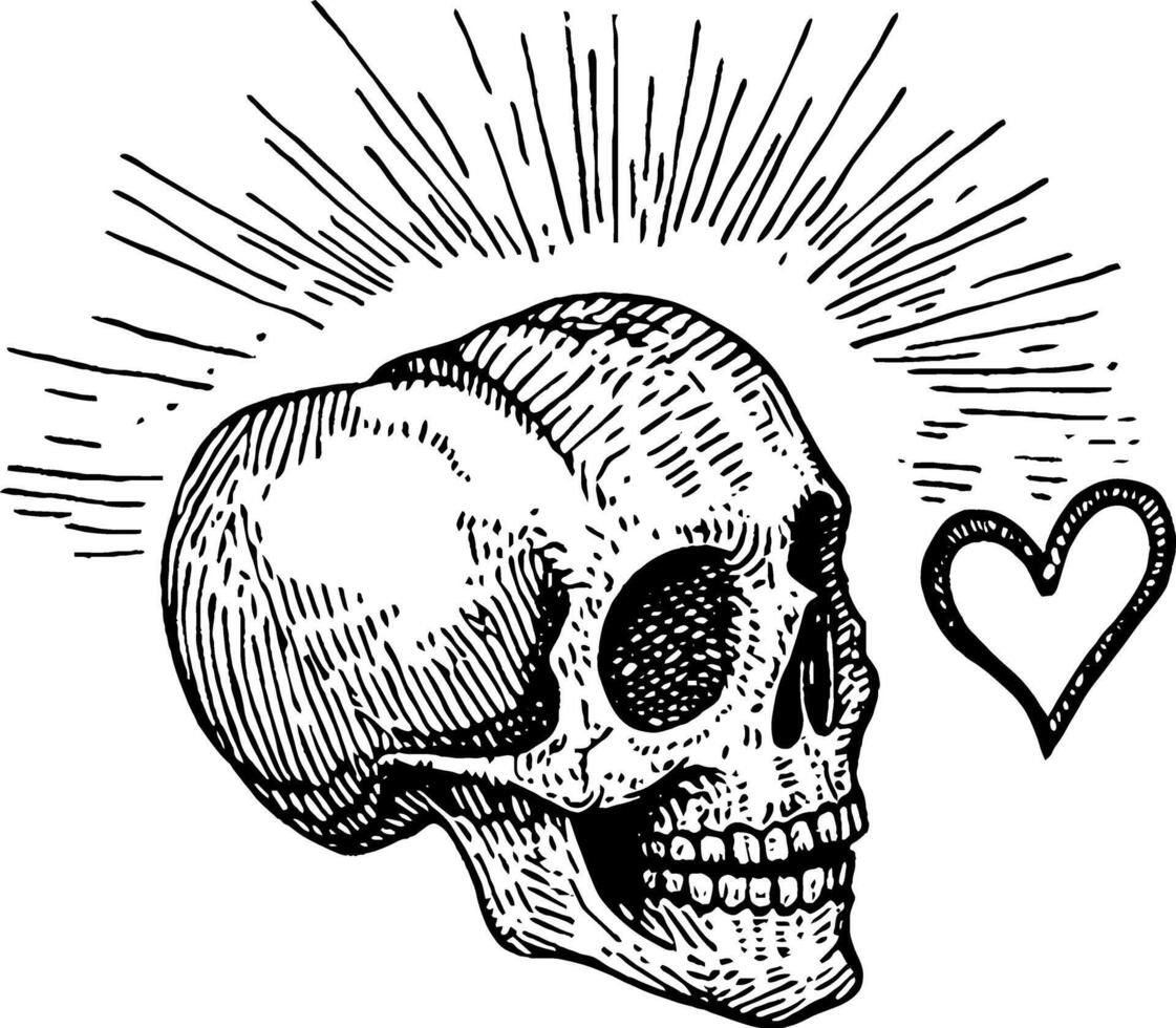 A detailed illustration of a skull with rays emanating from the top and a heart symbol beside it, combining elements of life and death. vector