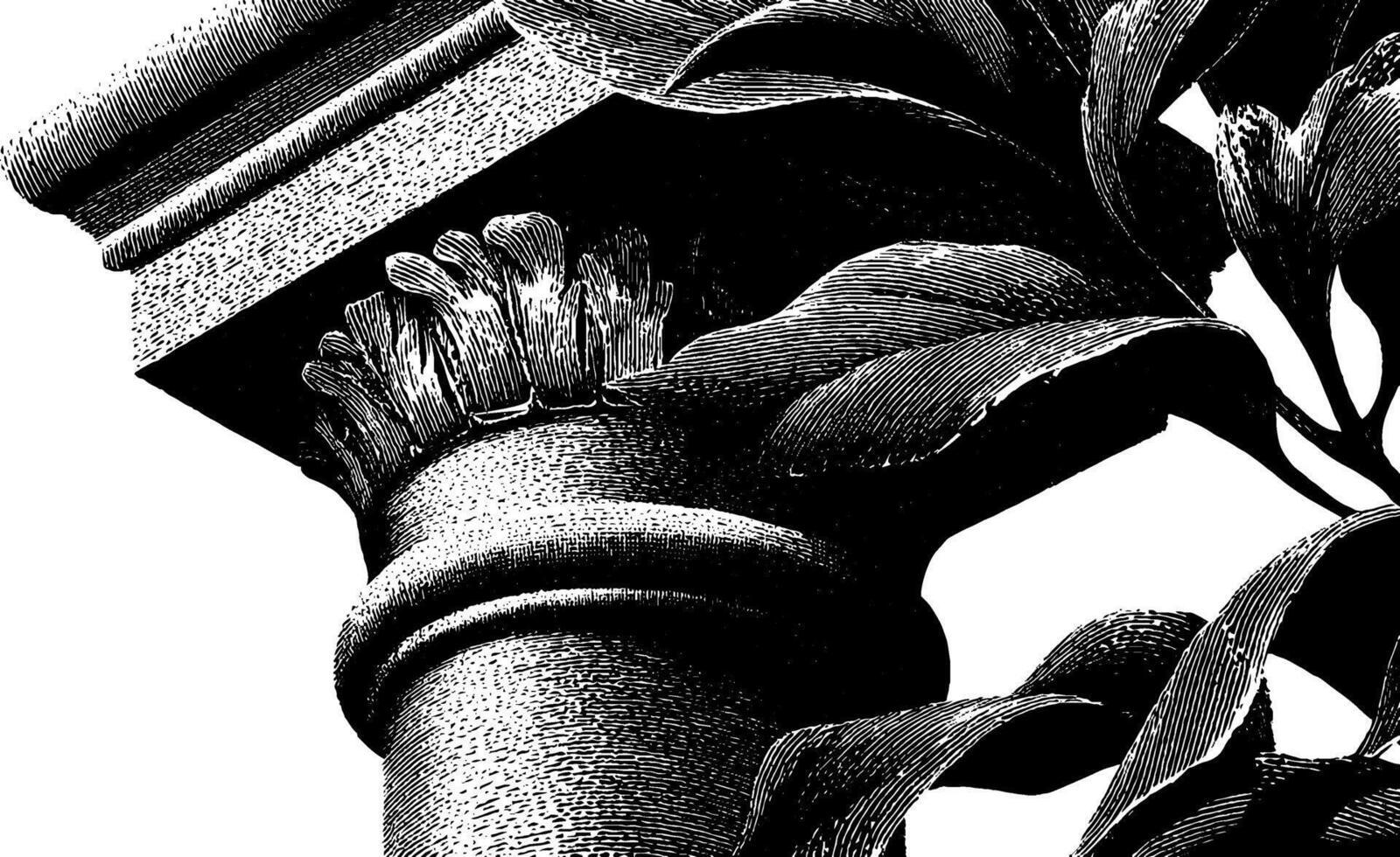 Ornate corinthian column with stylized leaves in black and white. vector