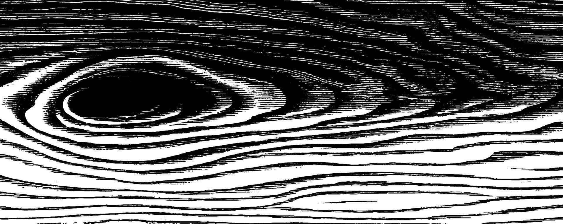 Vintage 1950s woodcut style black and white illustration for design. vector