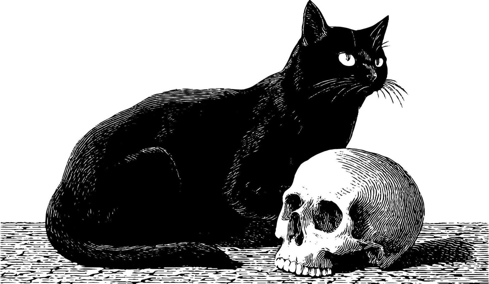 Engraved illustration of a black cat with glowing eyes next to a skull. vector