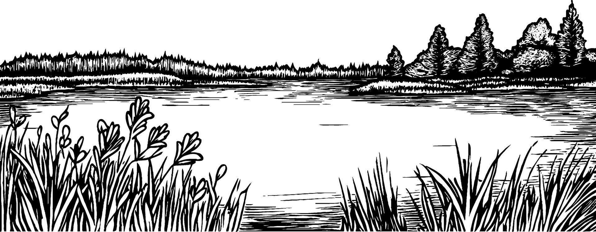 A serene landscape featuring a calm lake surrounded by trees and grass. The scene is depicted in a detailed black and white illustration style, emphasizing natural elements. vector