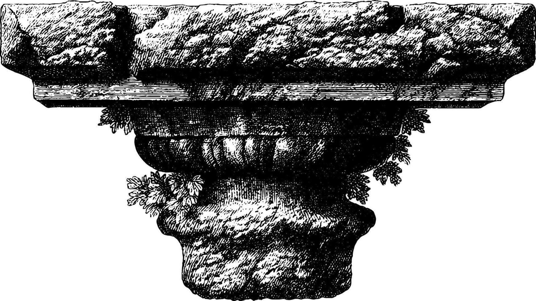 Ancient stone column capital with leafy details in black and white engraving. vector