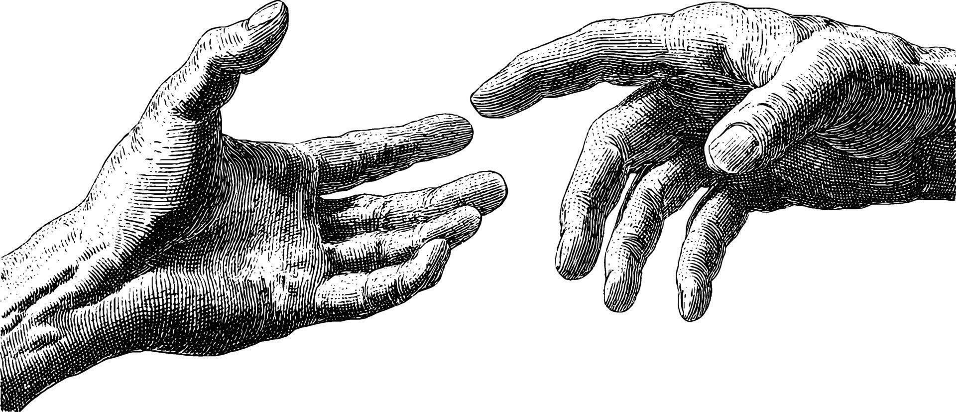 Engraved hands reaching toward each other in classical art style. vector