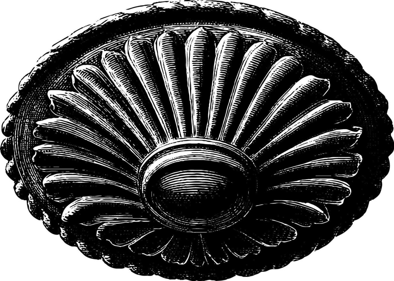 Vintage black and white decorative round ornamental shell pattern. vector