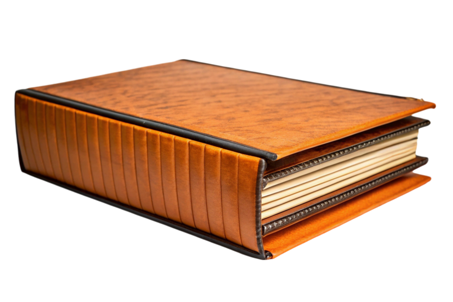 Classic book with fanned pages representing knowledge, literature, and reading png