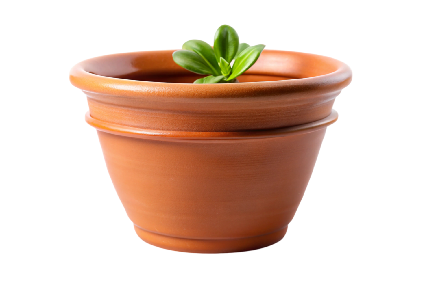 Elegant terracotta plant pot with green succulent, isolated on Transparent Background, ideal for nature themed decor png