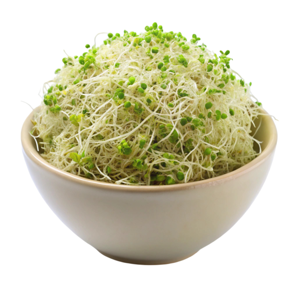 Fresh alfalfa sprouts in a glass bowl on a Transparent Background, perfect for salads and healthy meals png