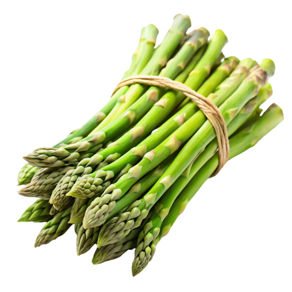 Fresh green asparagus bundle tied with twine on a Transparent Background, showcasing vibrant, healthy spears png