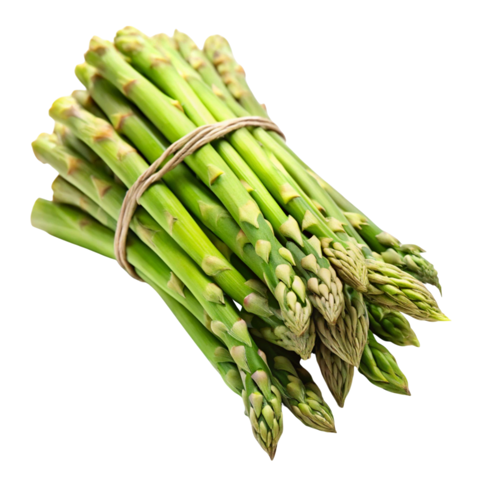 Close up of a tied bunch of green asparagus spears isolated on a clean Transparent Background png