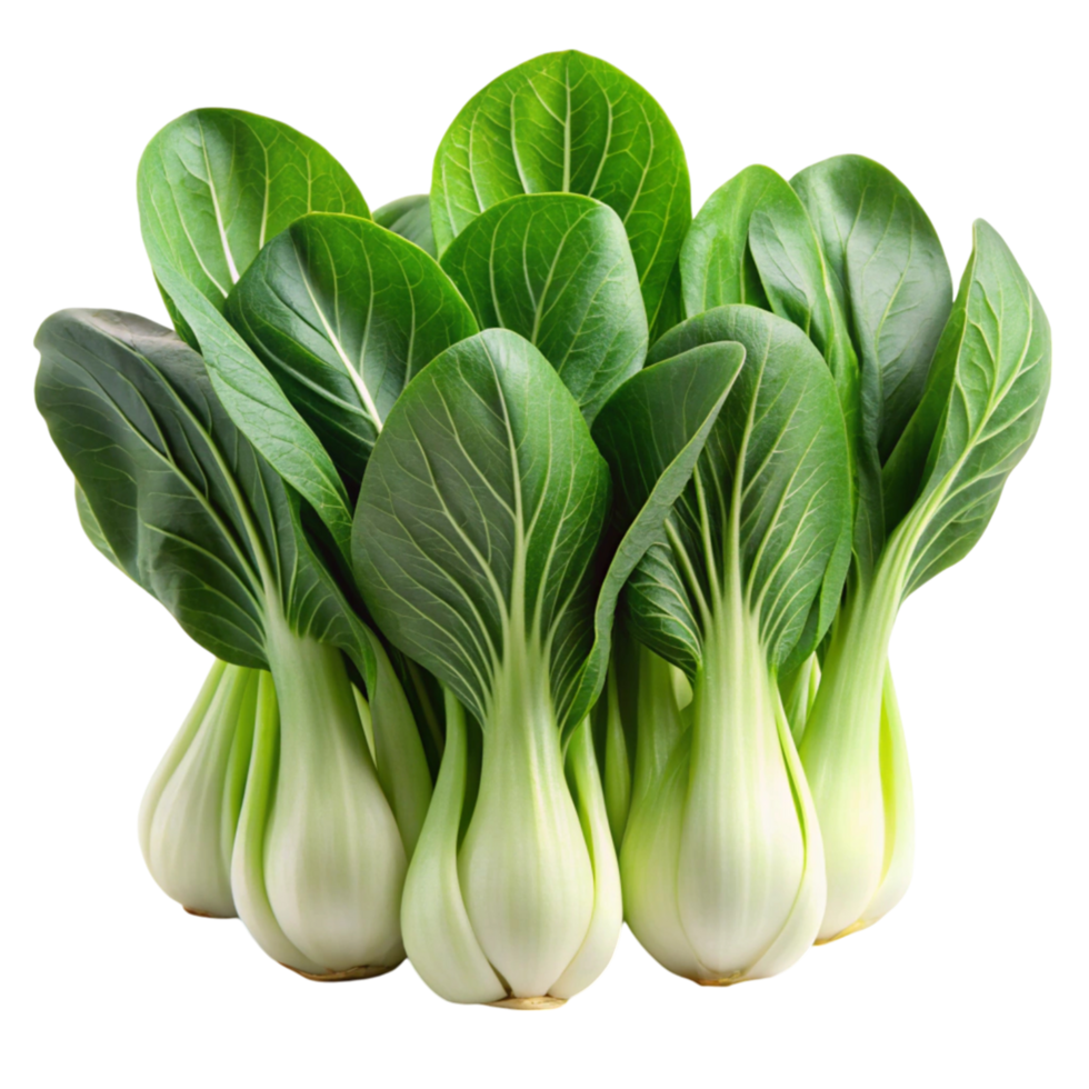 Organic baby bok choy vegetables arranged neatly on a clean Transparent Background, perfect for healthy meal preparation png