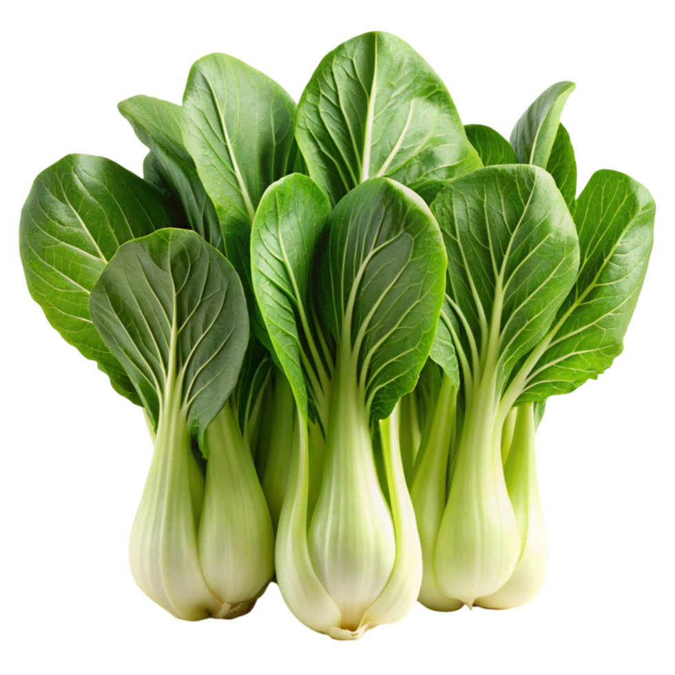 Fresh and crisp green bok choy bunch isolated on Transparent Background, showcasing vibrant leaves and firm white stalks png