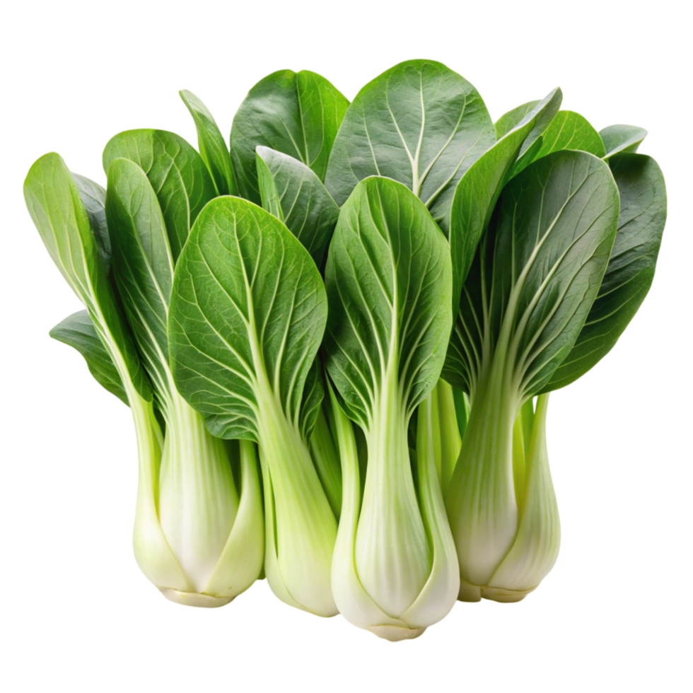 Green bok choy heads on white, ideal for recipes, diet concepts, and nutritious vegetable focused dishes png