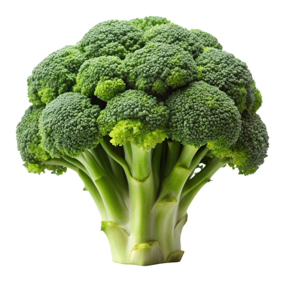 Fresh green broccoli head isolated on Transparent Background, showing vibrant color and crisp texture of healthy florets png