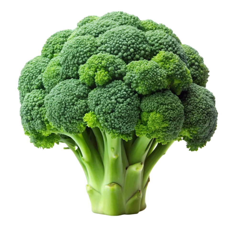Organic broccoli crown with detailed florets and stalks, isolated against a Transparent Background for healthy food concepts png