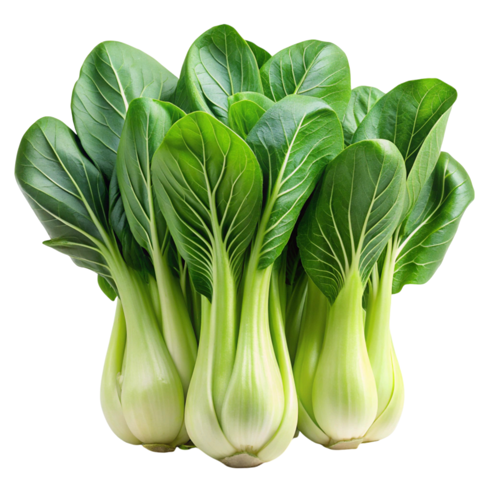 Close up of fresh bok choy leaves and stems, isolated against a Transparent Background, highlighting their natural texture and color png