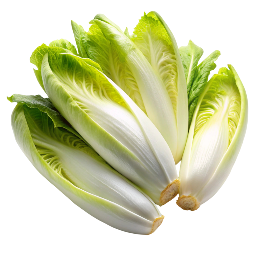 Freshly cut endive halves showing crisp, white leaves with green tips, isolated on a Transparent Background png