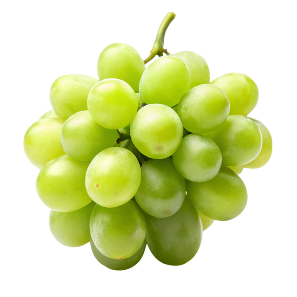 Close up of a bunch of green grapes on a clean Transparent Background, natural and crisp fruit for fresh eating png