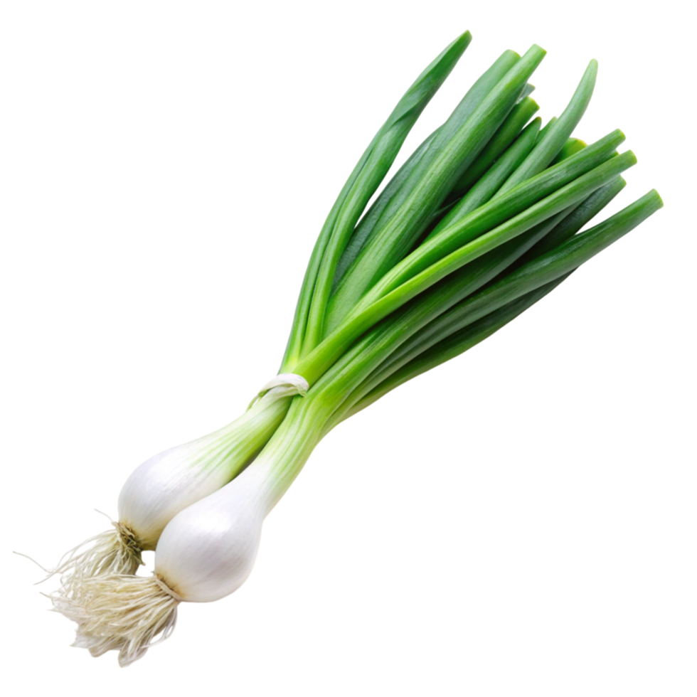 Freshly harvested green onions, isolated on white, ideal for salads, stir fries, and culinary presentations png