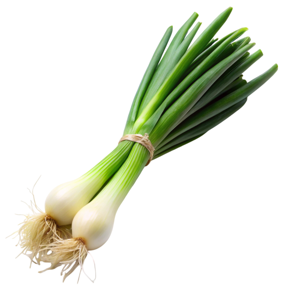 Close up of whole green onions, displayed on a clean white surface, emphasizing their vibrant color and crisp texture png