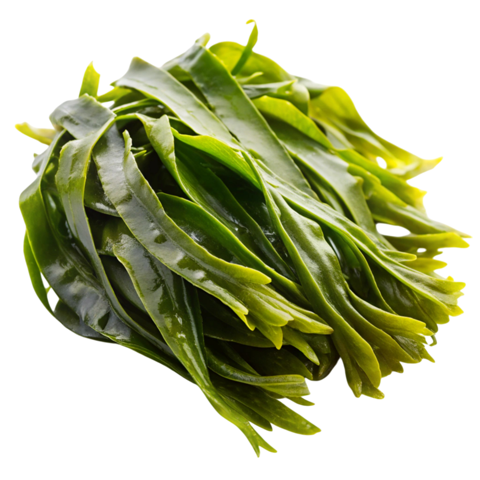Close up of vibrant green kelp, displayed on a clean white surface, emphasizing natural texture and glossy appearance png