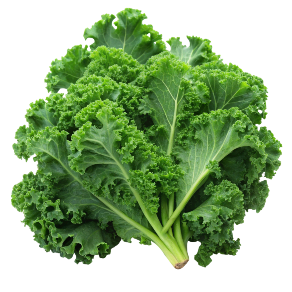 Close up of vibrant curly kale leaves, displayed on a clean white surface, emphasizing natural texture and crispness png