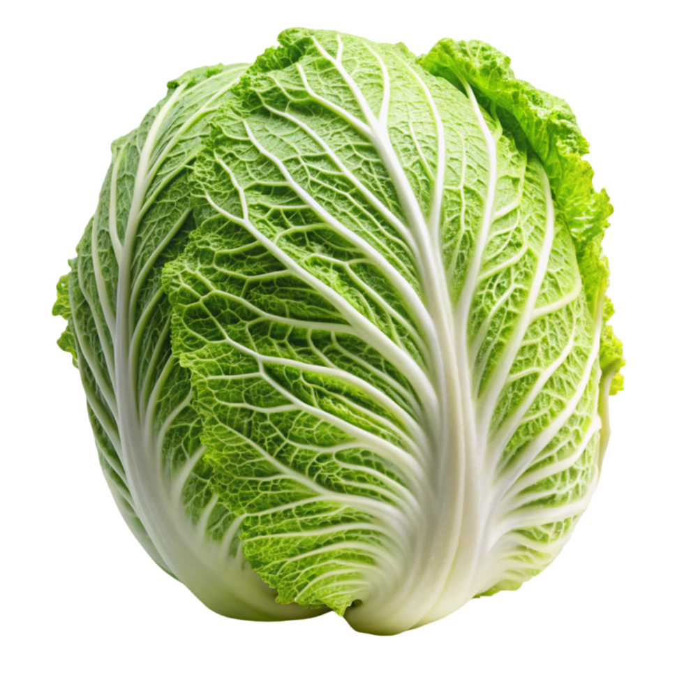 Close up of a vibrant green Napa cabbage head, displayed on a clean white surface, highlighting freshness and texture png