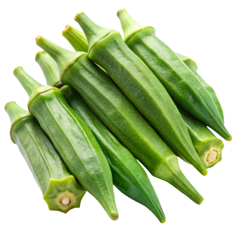 Fresh green okra pods isolated on Transparent Background, perfect for cooking, frying, and healthy food concepts png