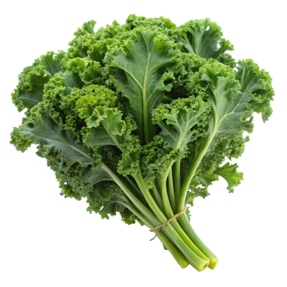 Close up of vibrant curly kale leaves, displayed on a clean white surface, emphasizing texture and freshness png