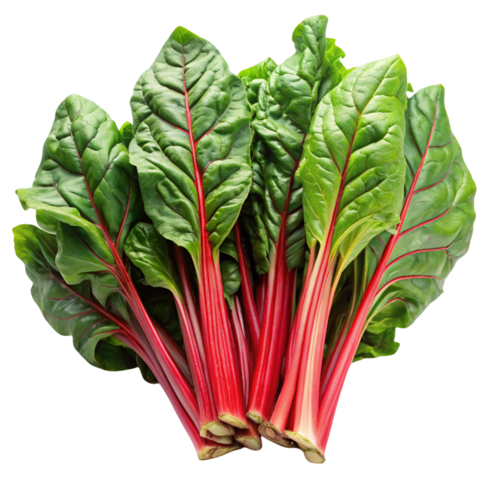 Close up of Swiss chard leaves with red stalks, isolated on clean Transparent Background, perfect for vegan and organic concepts png
