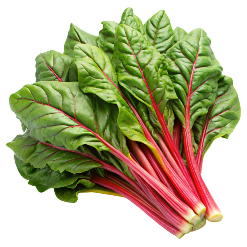 Fresh Swiss chard leaves with vibrant red stems isolated on Transparent Background, ideal for healthy cooking and salads png
