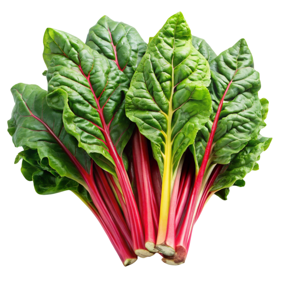 Freshly harvested Swiss chard bunch with bright red stems, isolated on white, emphasizing vibrant color and nutrition png