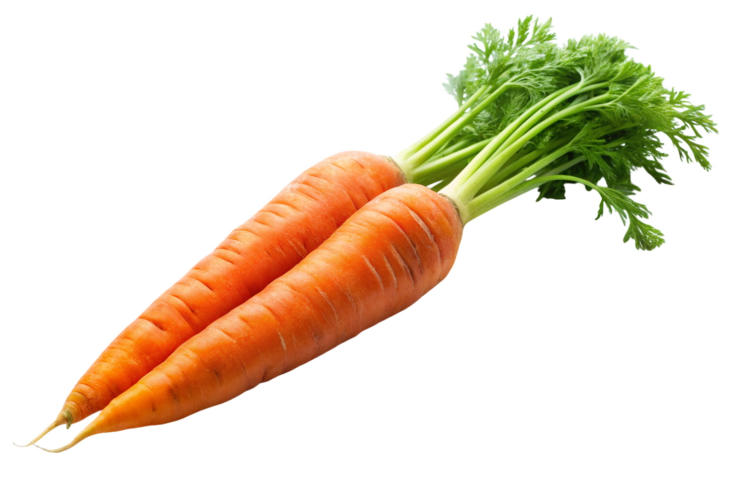 Healthy fresh carrots with leafy tops displayed on a clean white background png