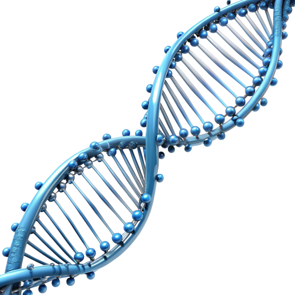 3D blue DNA double helix model, isolated on a Transparent Background, symbolizing genetics and biotechnology png