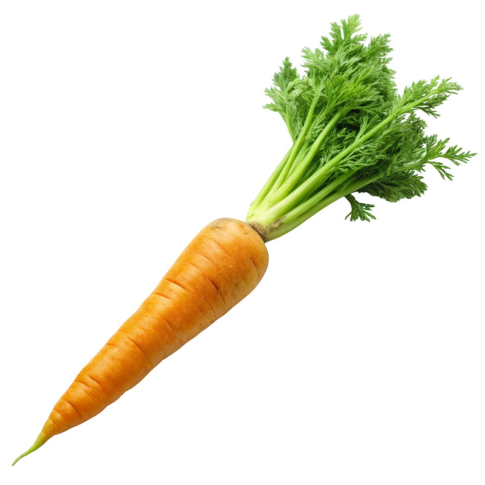 Isolated organic carrot with leafy top, showcasing fresh, farm to table quality on clean Transparent Background png