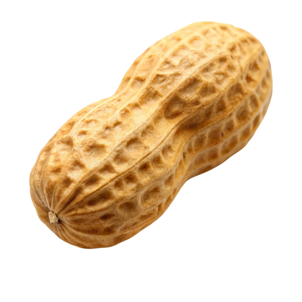 Nutritious whole peanut with rough shell texture, symbolizing healthy eating and plant based protein sources. png