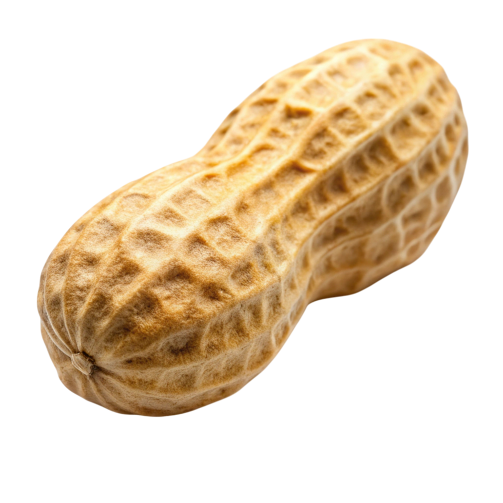 Whole unshelled peanut with natural textured shell, isolated on Transparent Background, perfect for food and snack themes. png