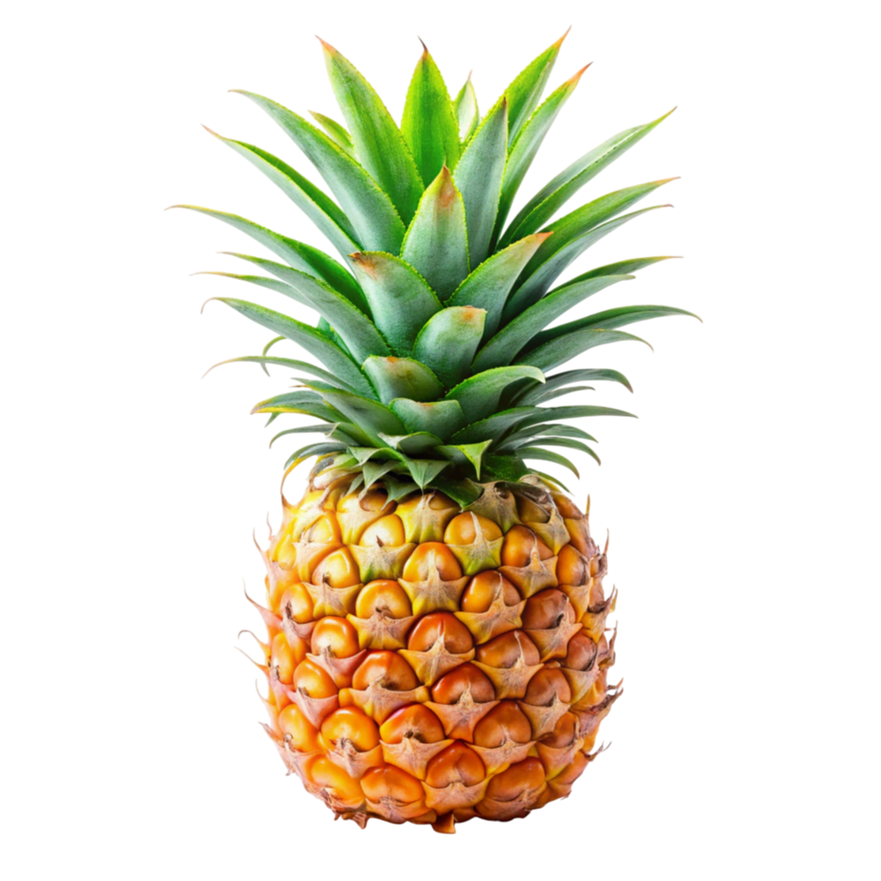 Whole pineapple showcasing natural texture and bright colors, perfect for summer, tropical, and fruit based designs. png