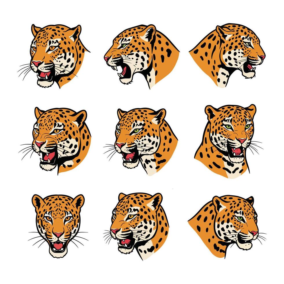 Elegant Leopard Head Illustrations Perfect for Wildlife and Creative Design Projects vector