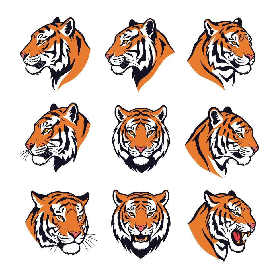 Striking Leopard Head Illustrations Perfect for Wildlife-Themed Designs vector