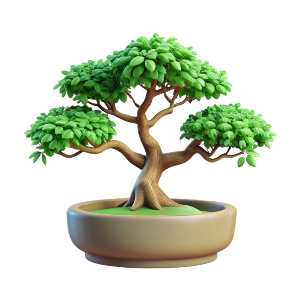 mesmerizing sought-after Elm bonsai tree with delicate branching, light green leaves, rough bark, soft lighting, top-down view, isolateon transparent background,high-resolution product photography png