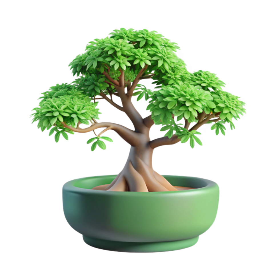 captivating signature Elm bonsai tree with delicate branching, light green leaves, rough bark, soft lighting, top-down view, isolateon transparent background,high-resolution product photography png