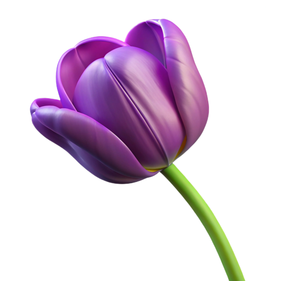 distinctive victorian Single purple tulip with variegatepetals, long stem, studio lighting, top-down view, isolateon transparent background,high-resolution product photography detailed png