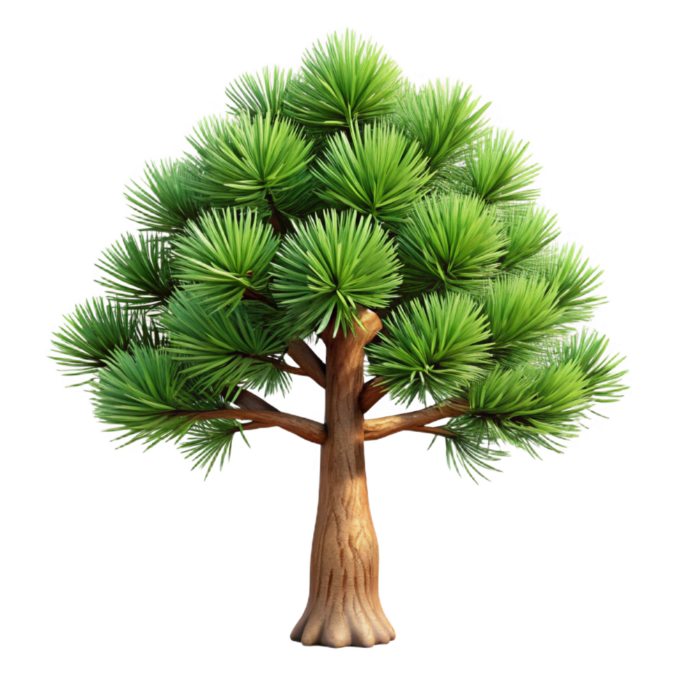 iconic geometric Mugo pine tree with short needles, dense branching, rough bark, dramatic lighting, front view, isolateon transparent background,high-resolution product photography elite png