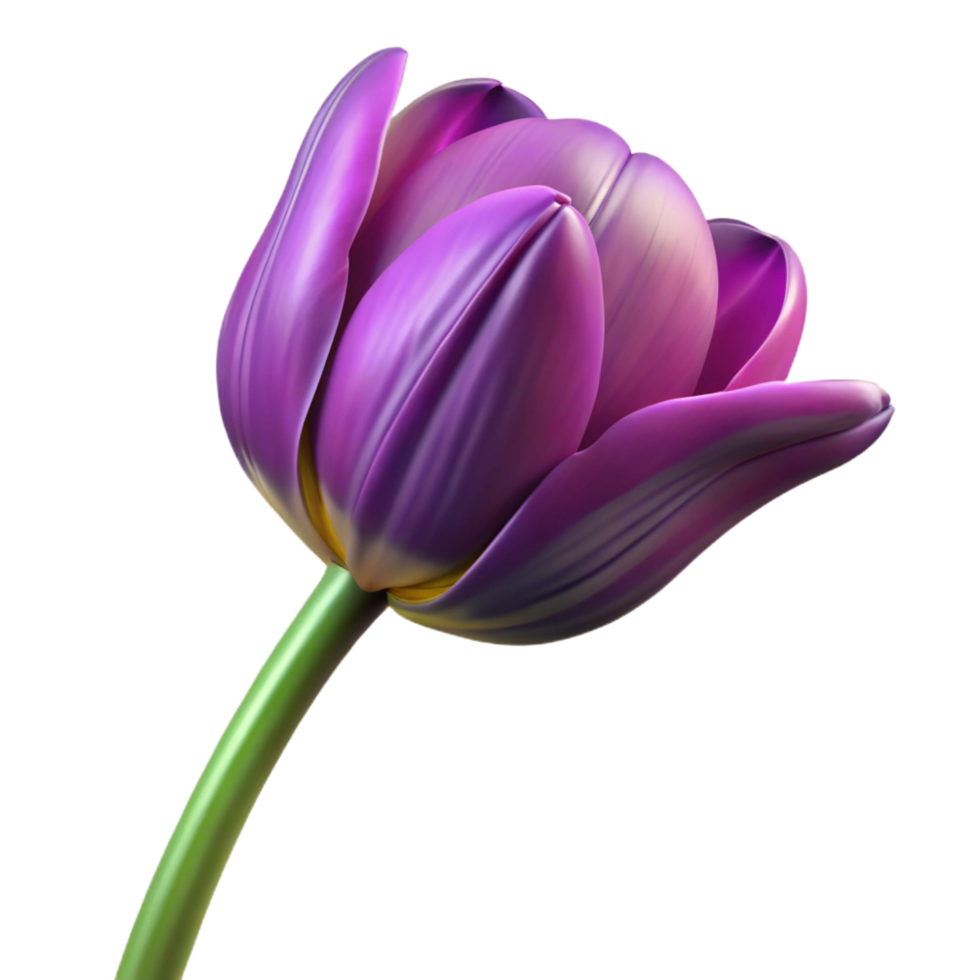 acclaimeindustrial Single purple tulip with variegatepetals, long stem, studio lighting, top-down view, isolateon transparent background,high-resolution product photography original png